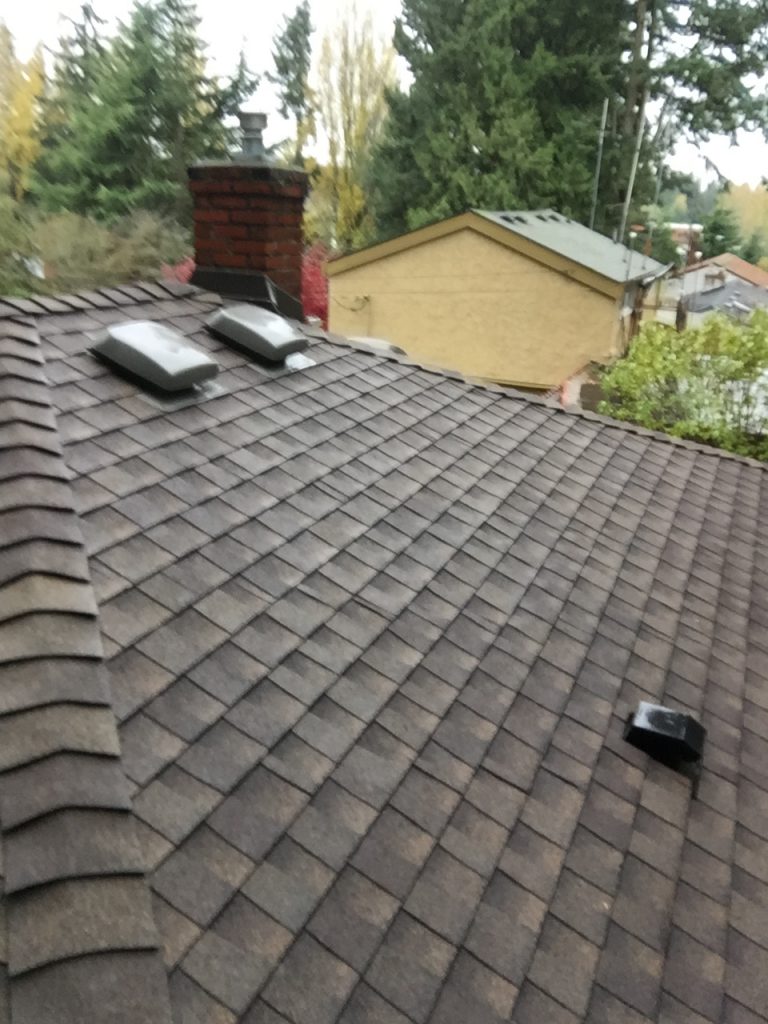 Everett Roof Cleaning