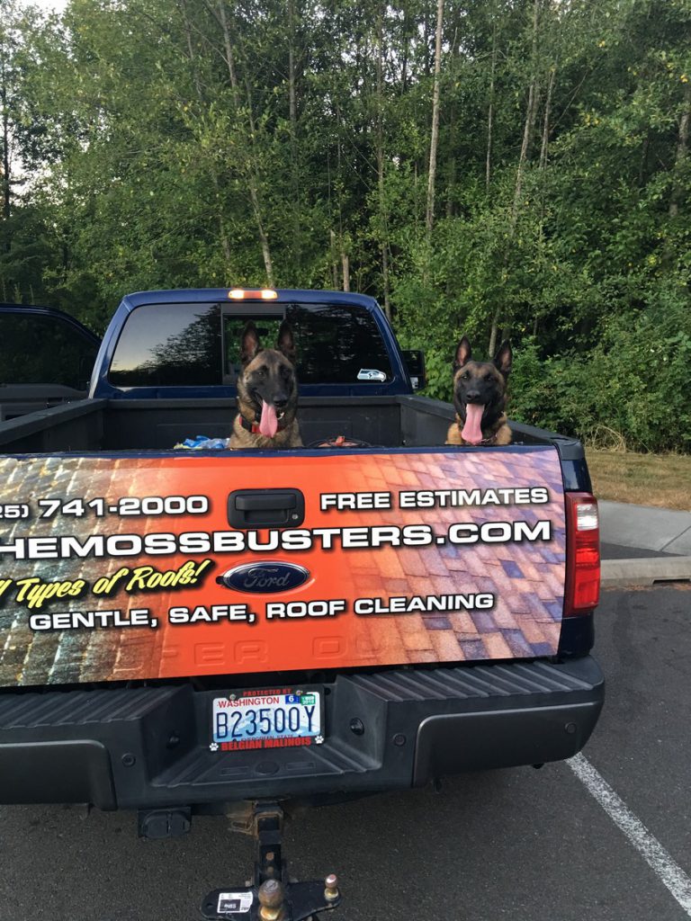 Moss Busters Everett Washington