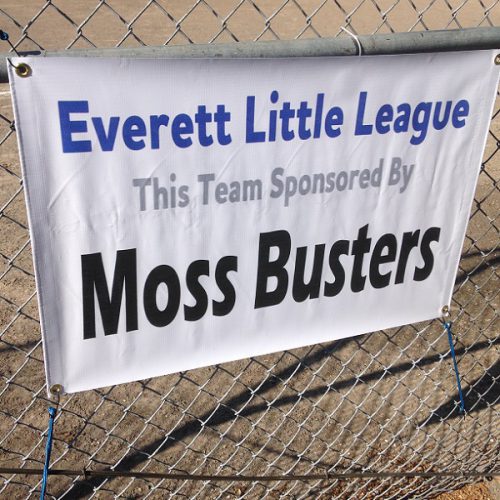 Everett Little League Sponsor - The Moss Busters