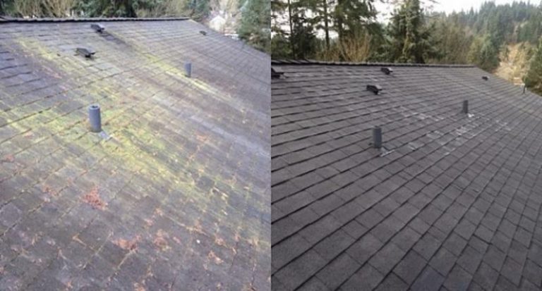 Gentle Soft Wash Roof Cleaning