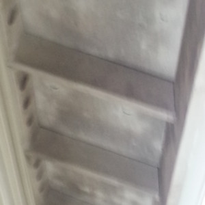 Mold & Mildew Removal in Anacortes, Washington