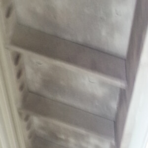 Mold & Mildew Removal in Anacortes, Washington