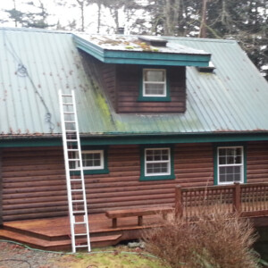 Steep Metal Roof Cleaning & Deck Cleaning at Guemes Island