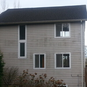 Roof Cleaning & Siding Cleaning in Everett, Washington