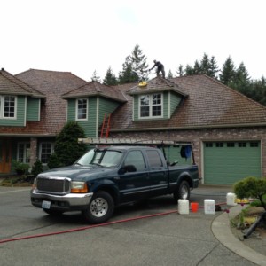 Roof Cleaning, Moss Treatment, & Roof Repairs in Mukilteo, Washington
