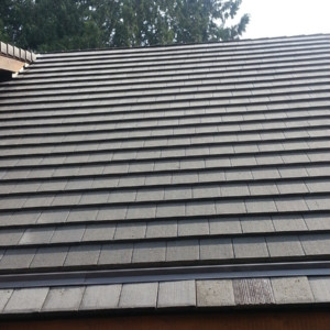 9/12 & 16/12 Tile Roof Cleaning in Stanwood, Washington