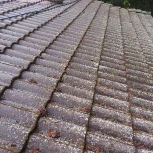 Tile Roof Cleaning in Oak Harbor