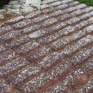 Tile Roof Cleaning in Oak Harbor
