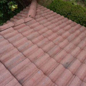 Tile Roof Cleaning in Oak Harbor