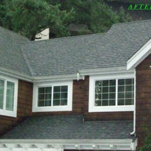 Professional Moss Removal From Roof