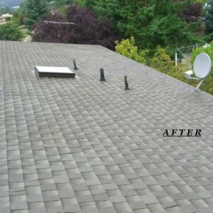 Expert Roof Cleaning