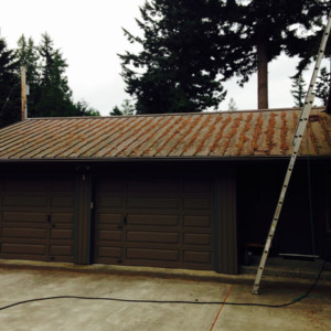 Metal Roof Cleaning