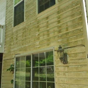 Exterior Pressure Washing & Cleaning