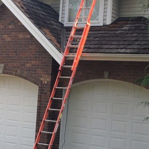 Roof Cleaning in Bothell Washington