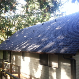 Roof Cleaning, Moss Treatment, Gutter Cleaning & Repair in Bellingham, WA