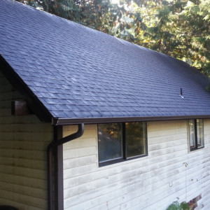 Roof Cleaning, Moss Treatment, Gutter Cleaning & Repair in Bellingham, WA