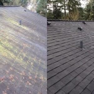Soft Wash Roof Everett