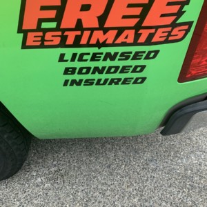 The Moss Busters Free Estimates