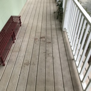 Exterior House Cleaning – Gentle Softwash