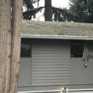 Gentle Softwash Roof Cleaning