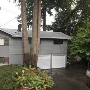 Gentle Softwash Roof Cleaning