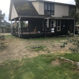 Asphalt Shingle Roof Cleaning