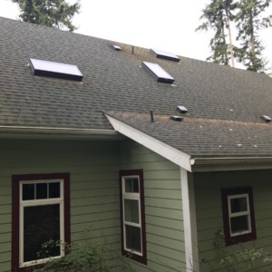 Roof Cleaning