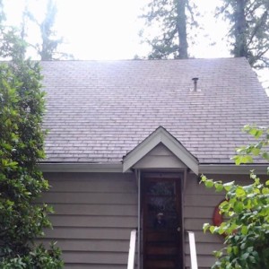 Arlington Moss Removal