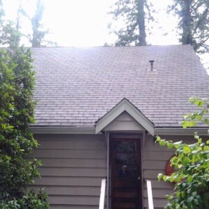 Arlington Moss Removal