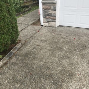 Driveway Cleaning in Lynnwood, Washington