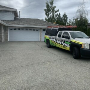 Tile Roof Cleaning Snohomish Washington