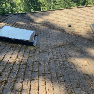 Roof Cleaning Kenmore Washington