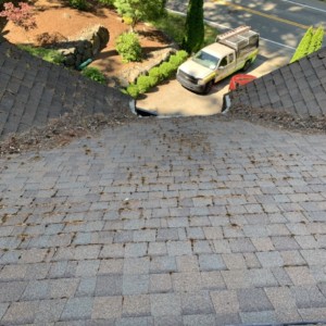 Kenmore Washington Roof Cleaning