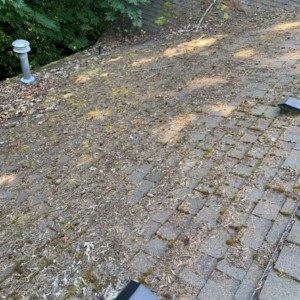 Roof Cleaning in Kenmore, Washington – August 2019