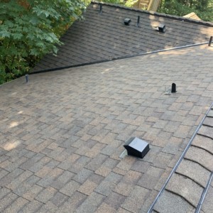 Roof Cleaning in Kenmore, Washington – August 2019