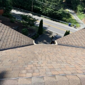 Roof Cleaning in Kenmore, Washington – August 2019