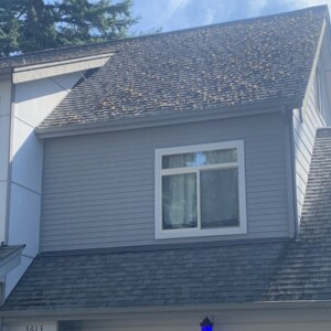 Roof Cleaning Edmonds Washington