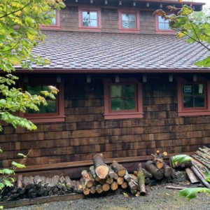 Roof Cleaning Guemes Island