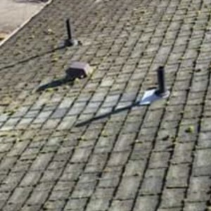 Arlington Moss Removal & Roof Cleaning