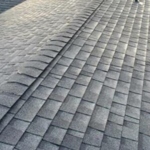 Arlington Moss Removal & Roof Cleaning