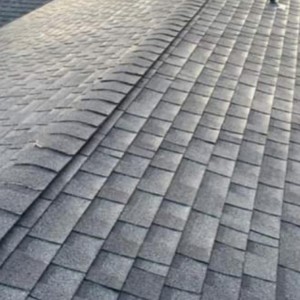 Arlington Moss Removal & Roof Cleaning
