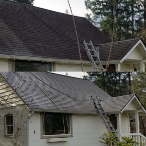 Softwash Roof Cleaning in Camano Island, Washington