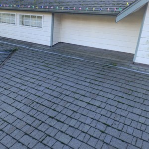 Softwash Roof Cleaning in Everett Washington – March 2021