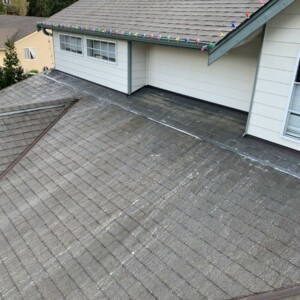 Softwash Roof Cleaning in Everett Washington – March 2021