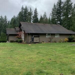 Softwash Roof Cleaning Arlington Washington – March 2021