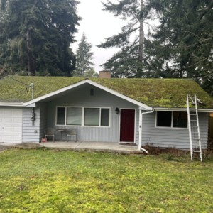 Roof Cleaning in Mill Creek Washington
