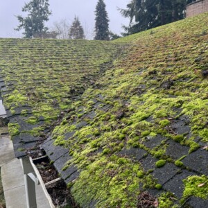 Roof Cleaning in Mill Creek Washington
